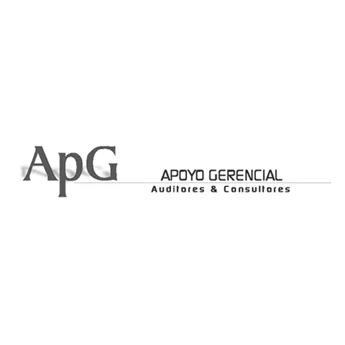 APG ApoyoGerencial