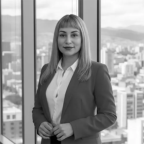 Diana Lorena Mejia Garzon